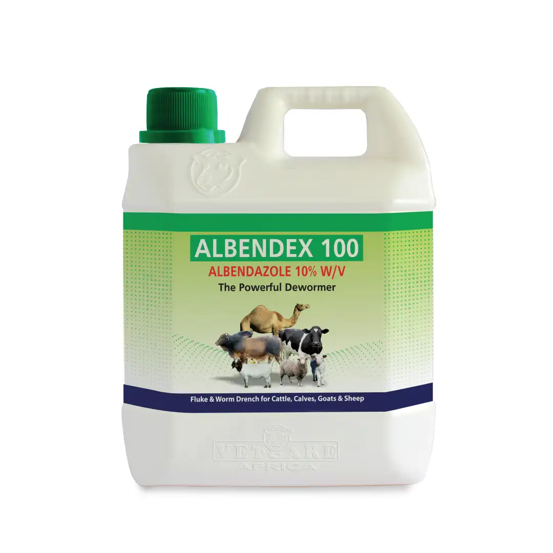 Albendex 100 - Image 2