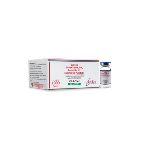 Globivac Ibd Maxima