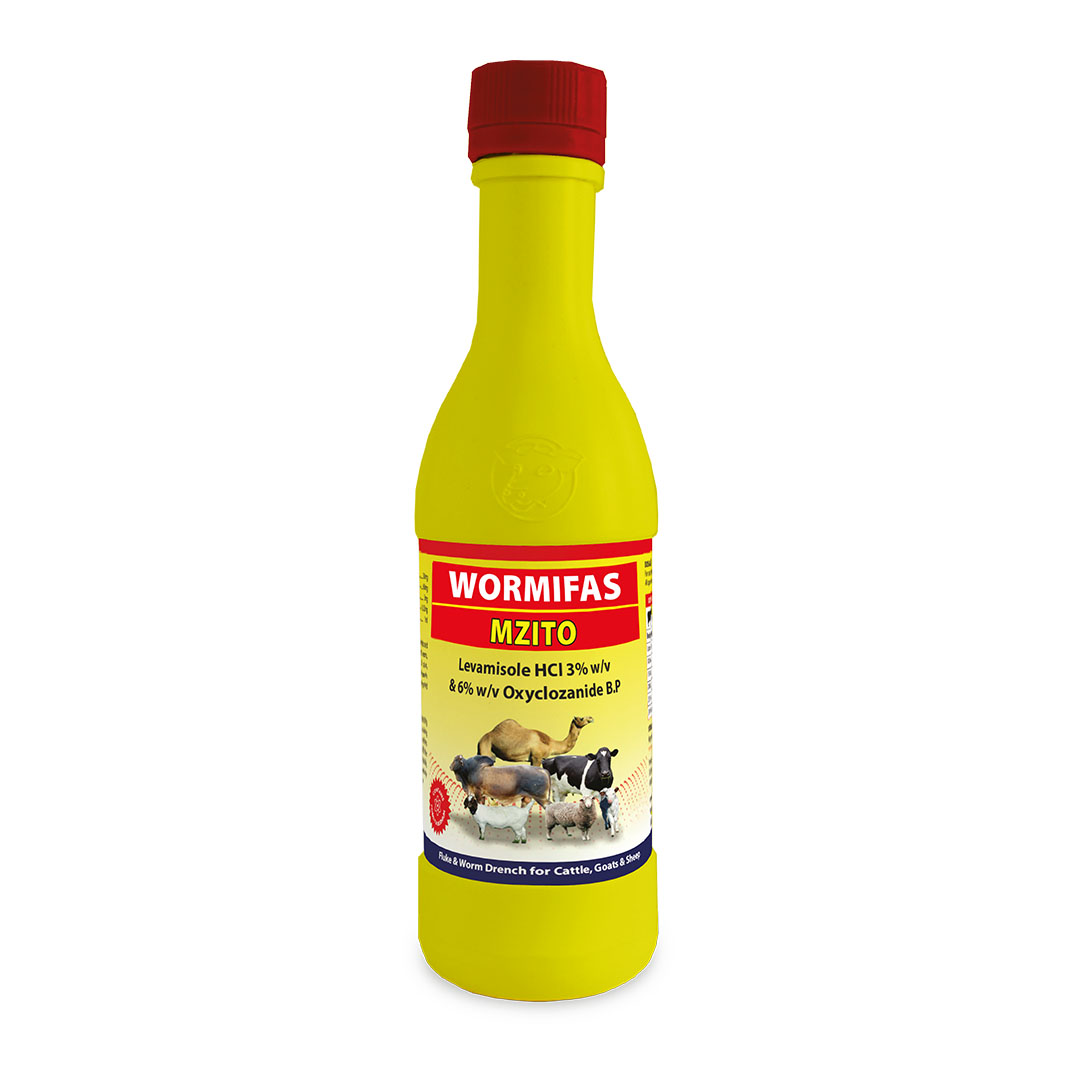 Wormifas Mzito - Image 3