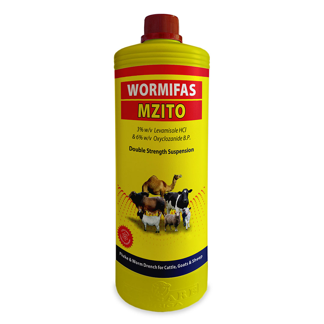 Wormifas Mzito - Image 2