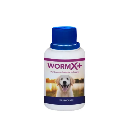 WomX+ Suspension