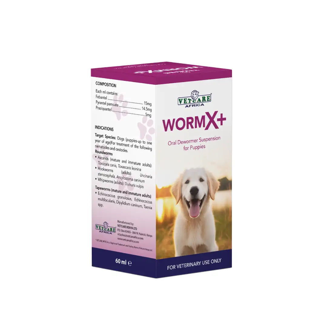 WomX+ Suspension - Image 2
